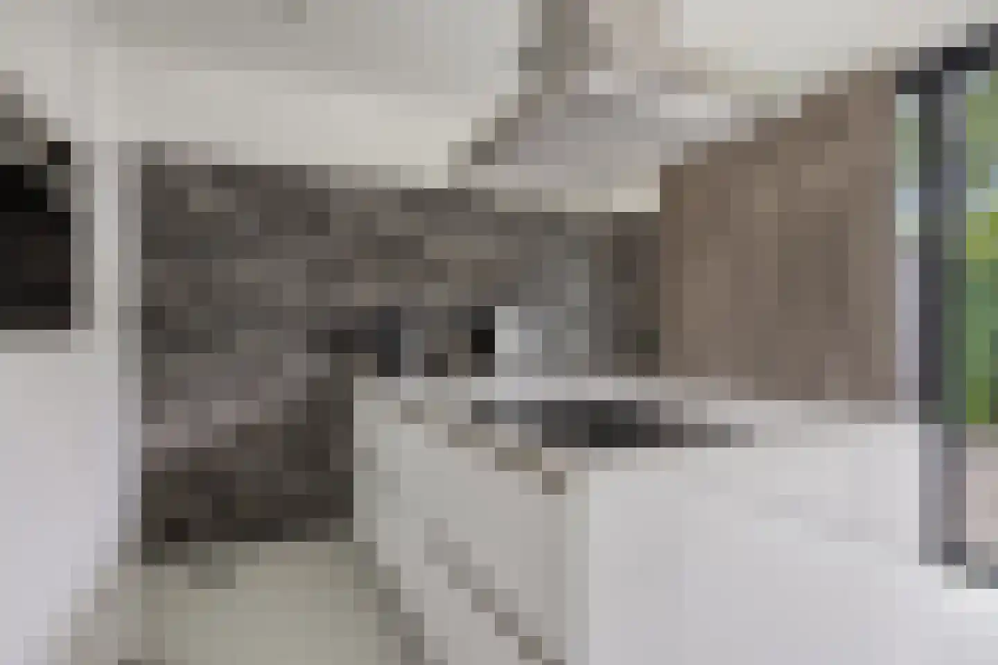 De Messemaker 30 Cuijk thumbnail 26