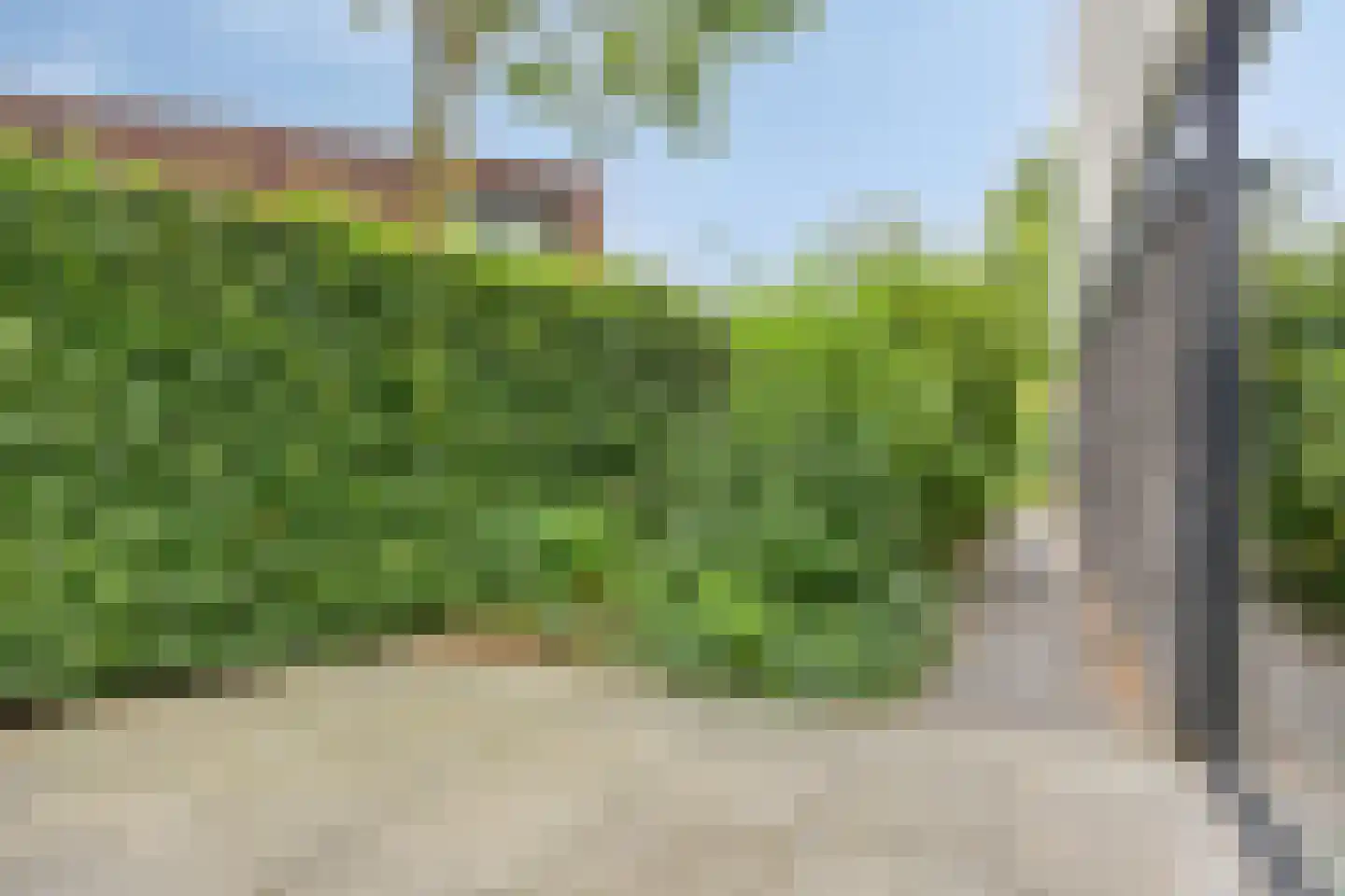 De Messemaker 30 Cuijk thumbnail 51