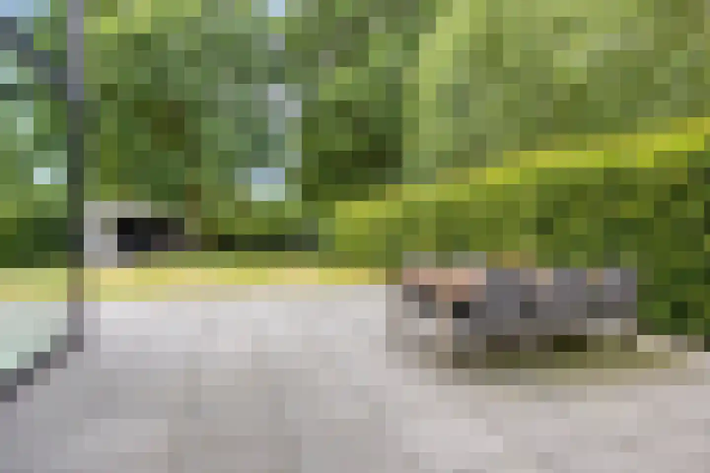 De Messemaker 30 Cuijk thumbnail 58