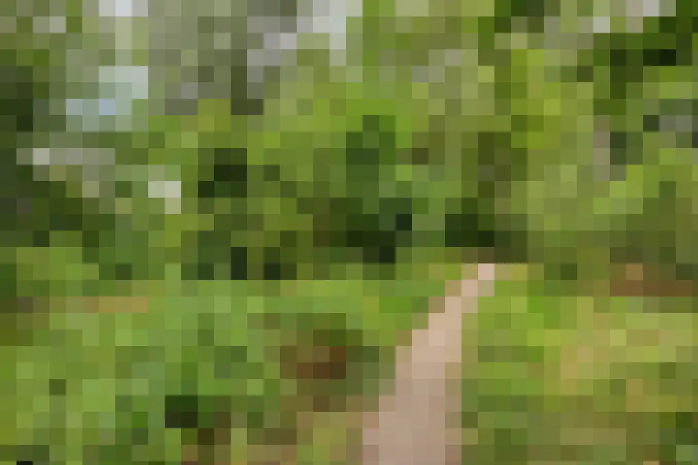 De Messemaker 30 Cuijk thumbnail 64