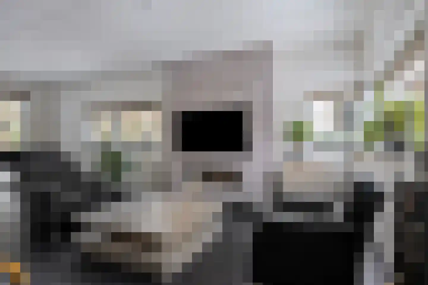 De Messemaker 43 Cuijk thumbnail 19
