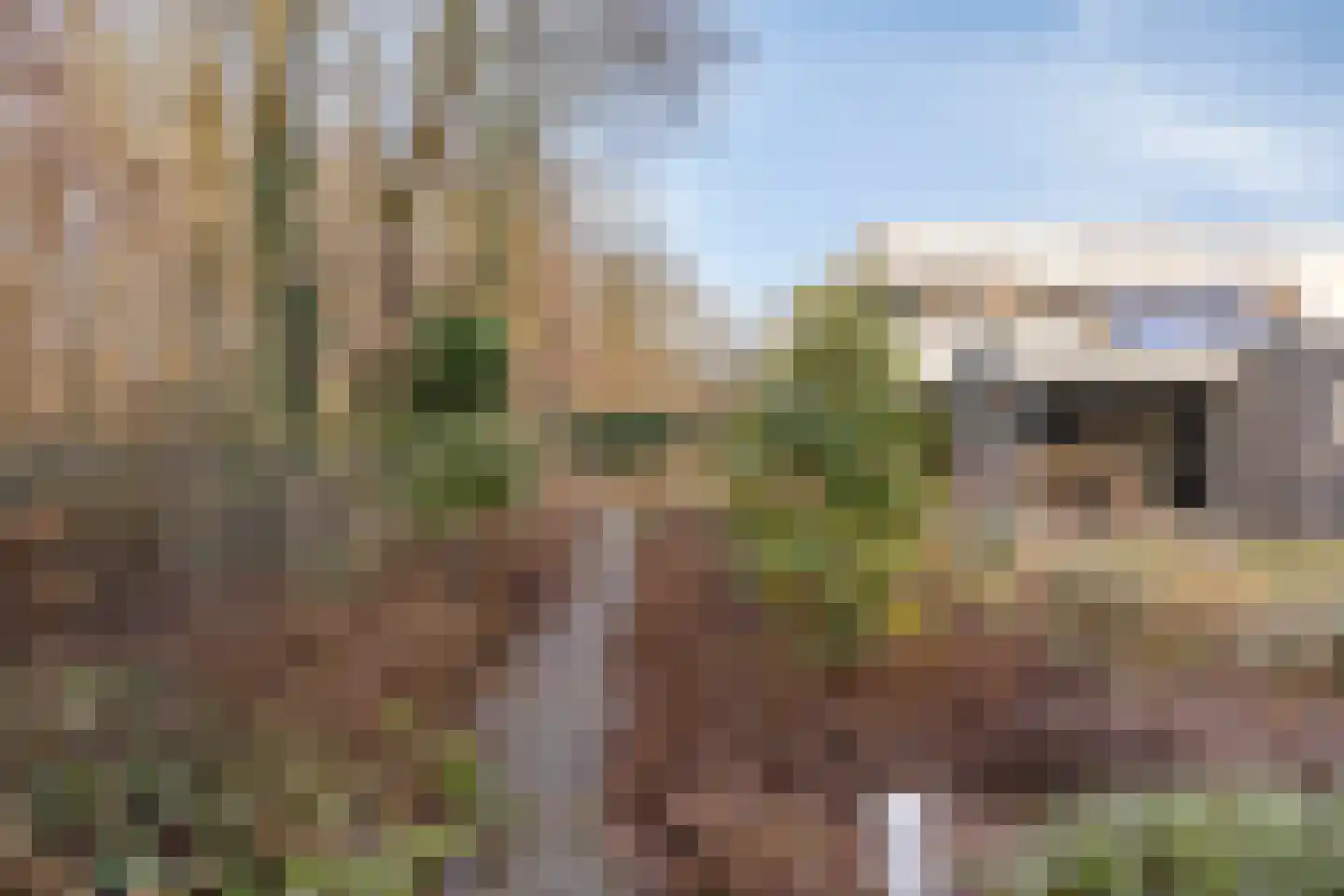 De Messemaker 43 Cuijk thumbnail 48