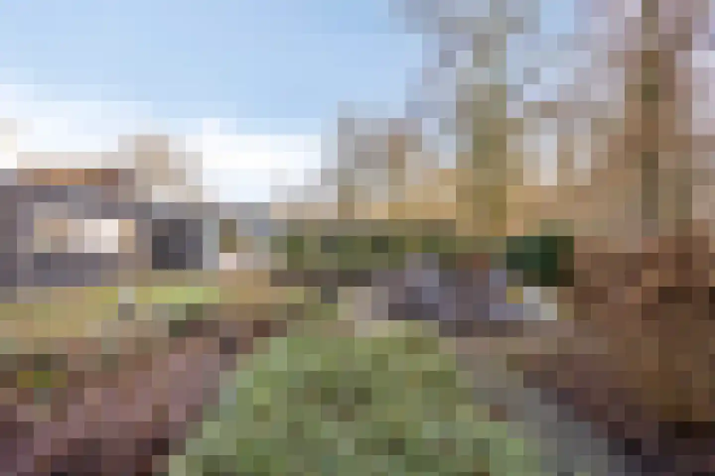 De Messemaker 43 Cuijk thumbnail 53