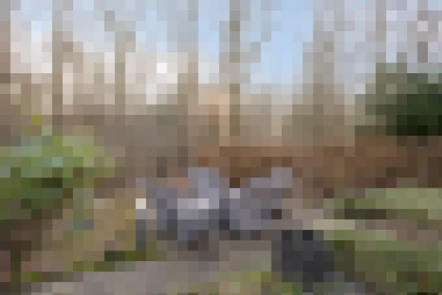 De Messemaker 43 Cuijk thumbnail 55