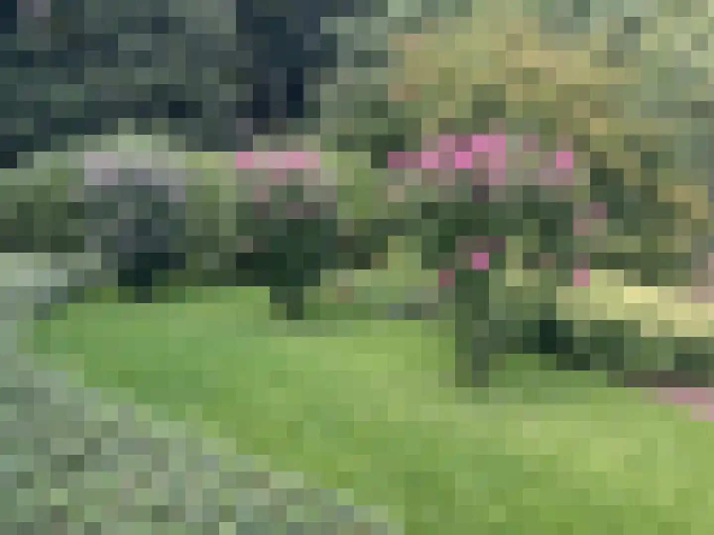 De Messemaker 43 Cuijk thumbnail 61