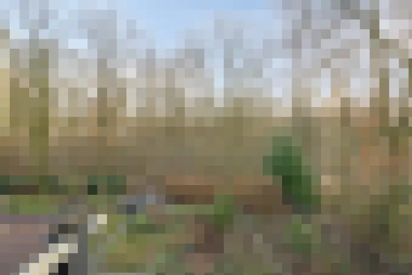 De Messemaker 43 Cuijk thumbnail 64