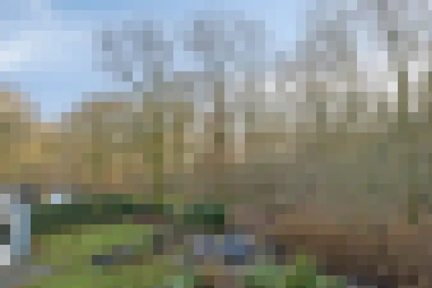 De Messemaker 43 Cuijk thumbnail 65