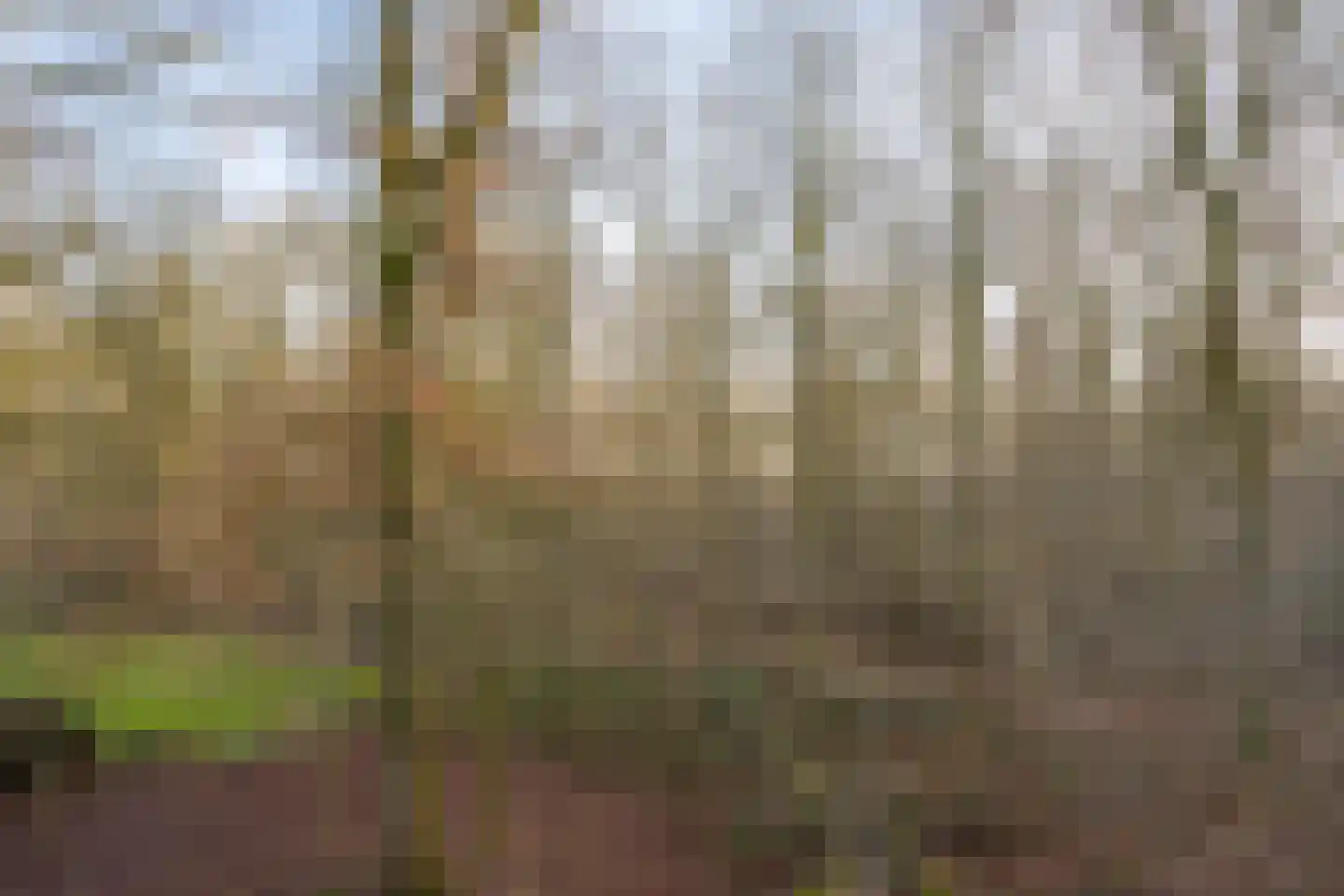 De Messemaker 43 Cuijk thumbnail 66