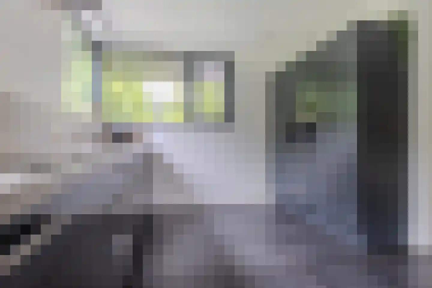 De Messemaker 7 Cuijk thumbnail 20