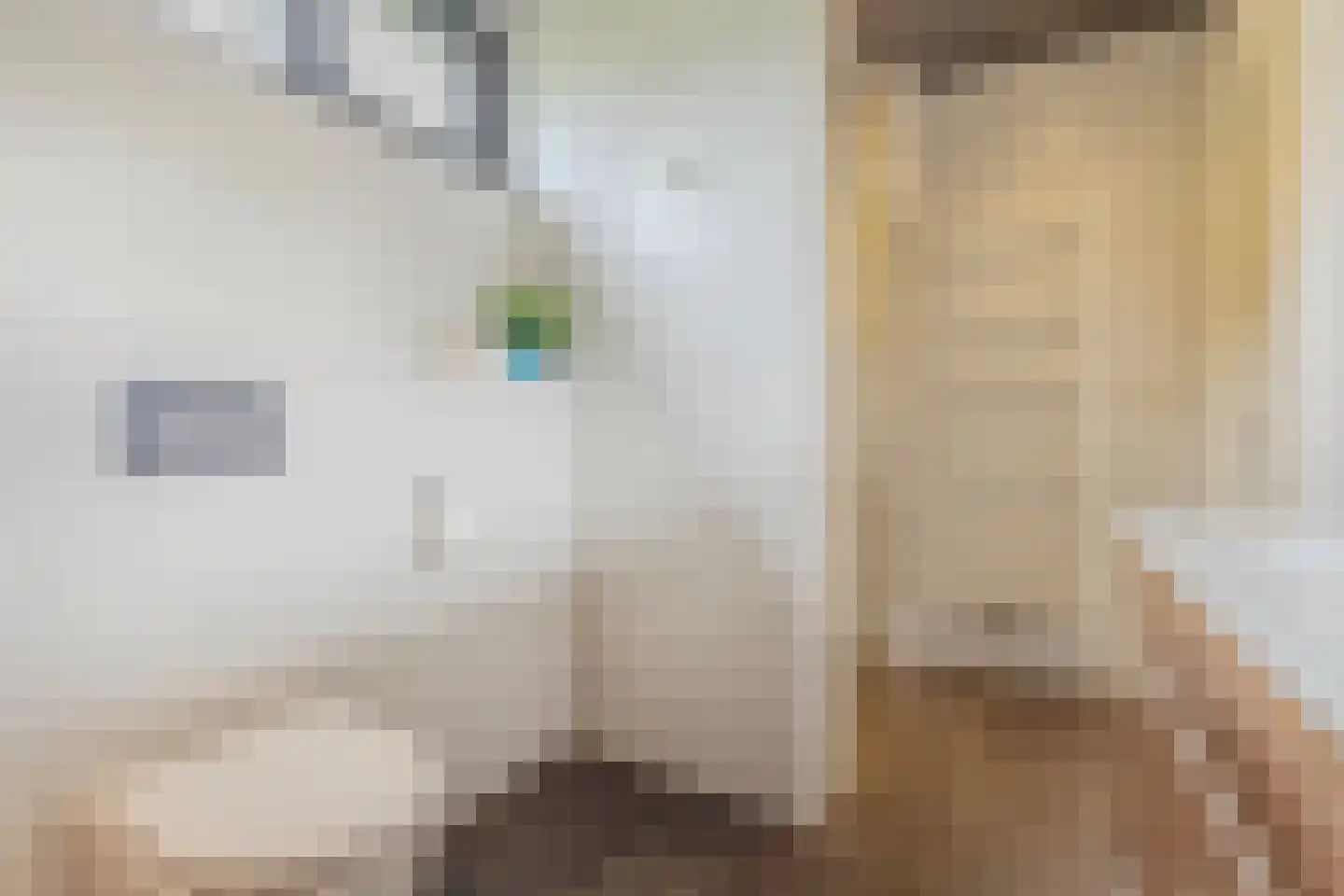 De Messemaker 7 Cuijk thumbnail 36