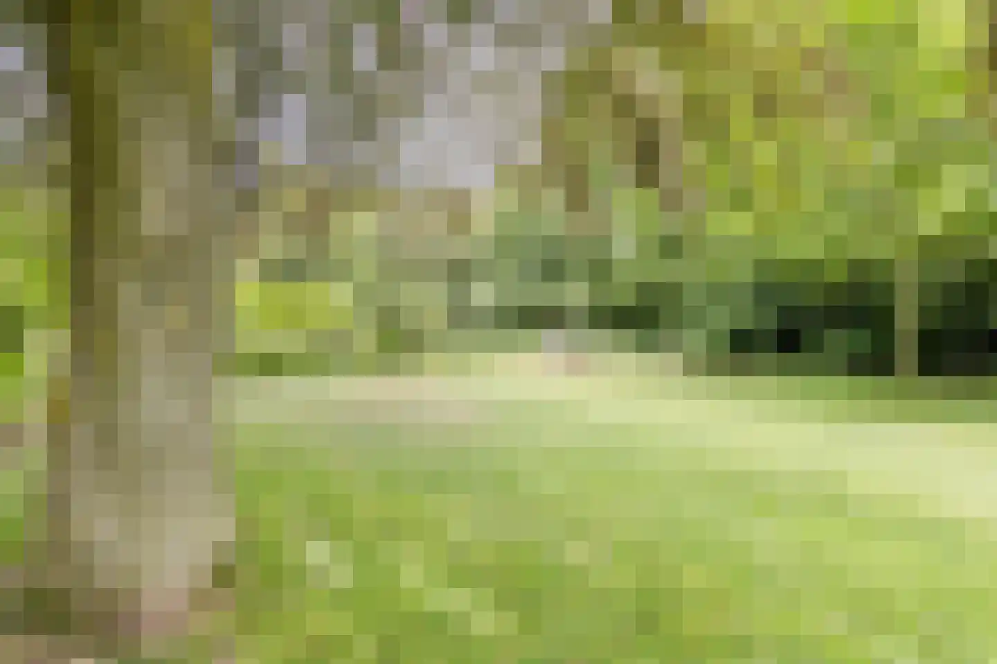 De Messemaker 7 Cuijk thumbnail 44