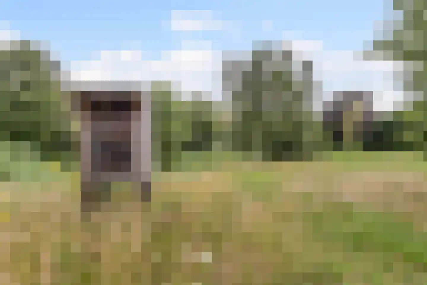 De Messemaker 7 Cuijk thumbnail 46