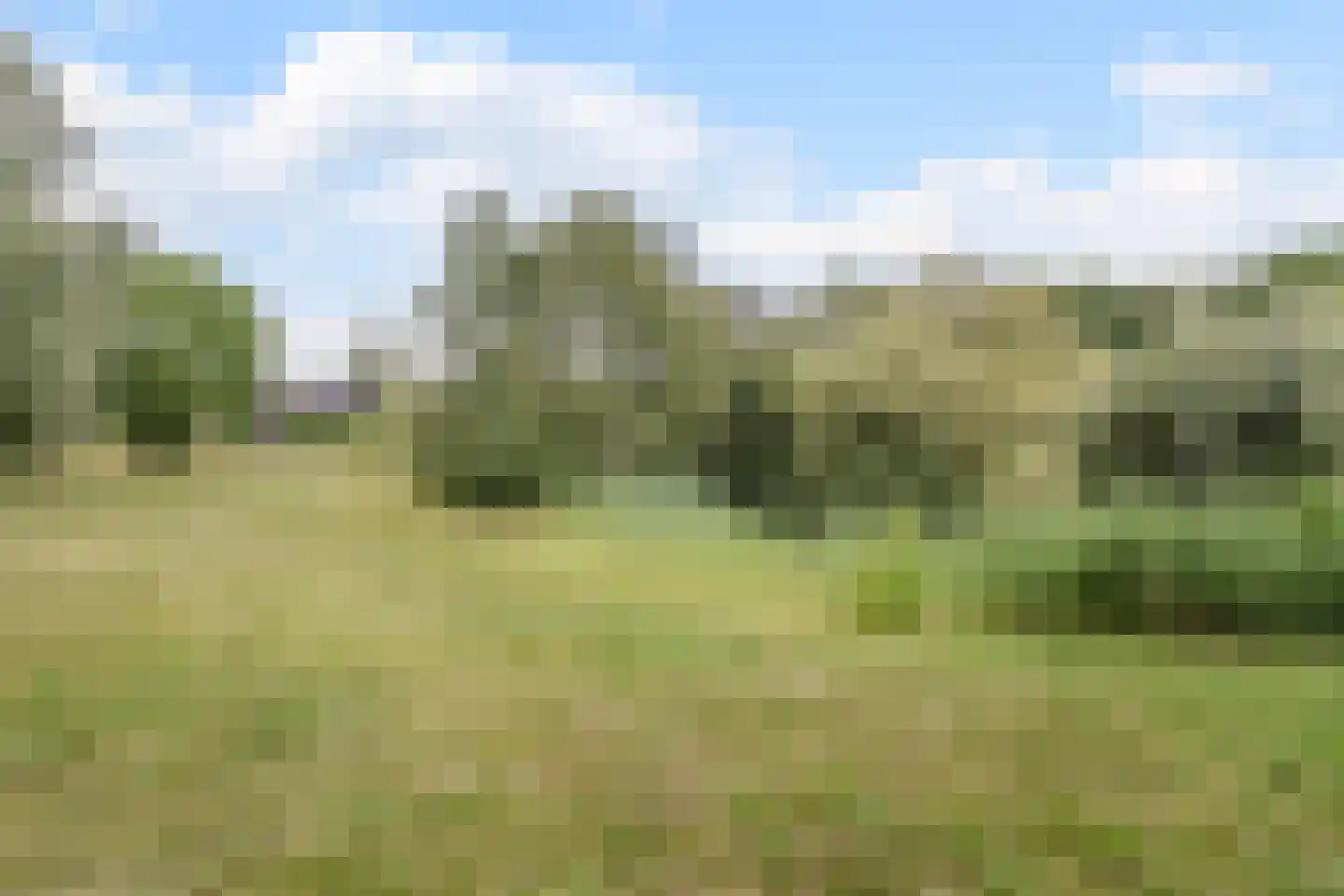 De Messemaker 7 Cuijk thumbnail 47