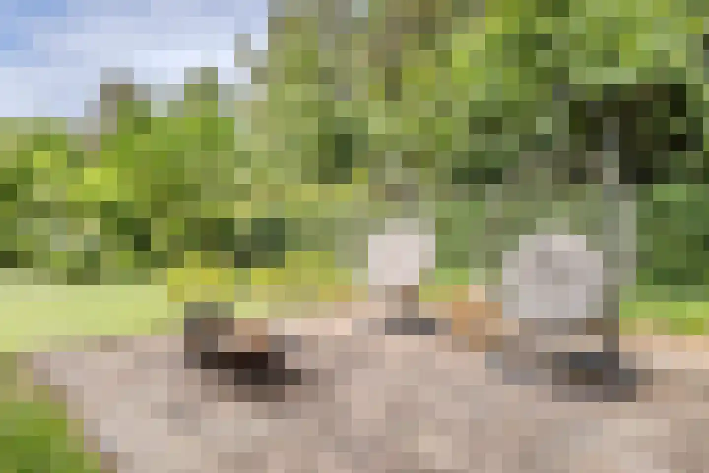 De Messemaker 7 Cuijk thumbnail 5