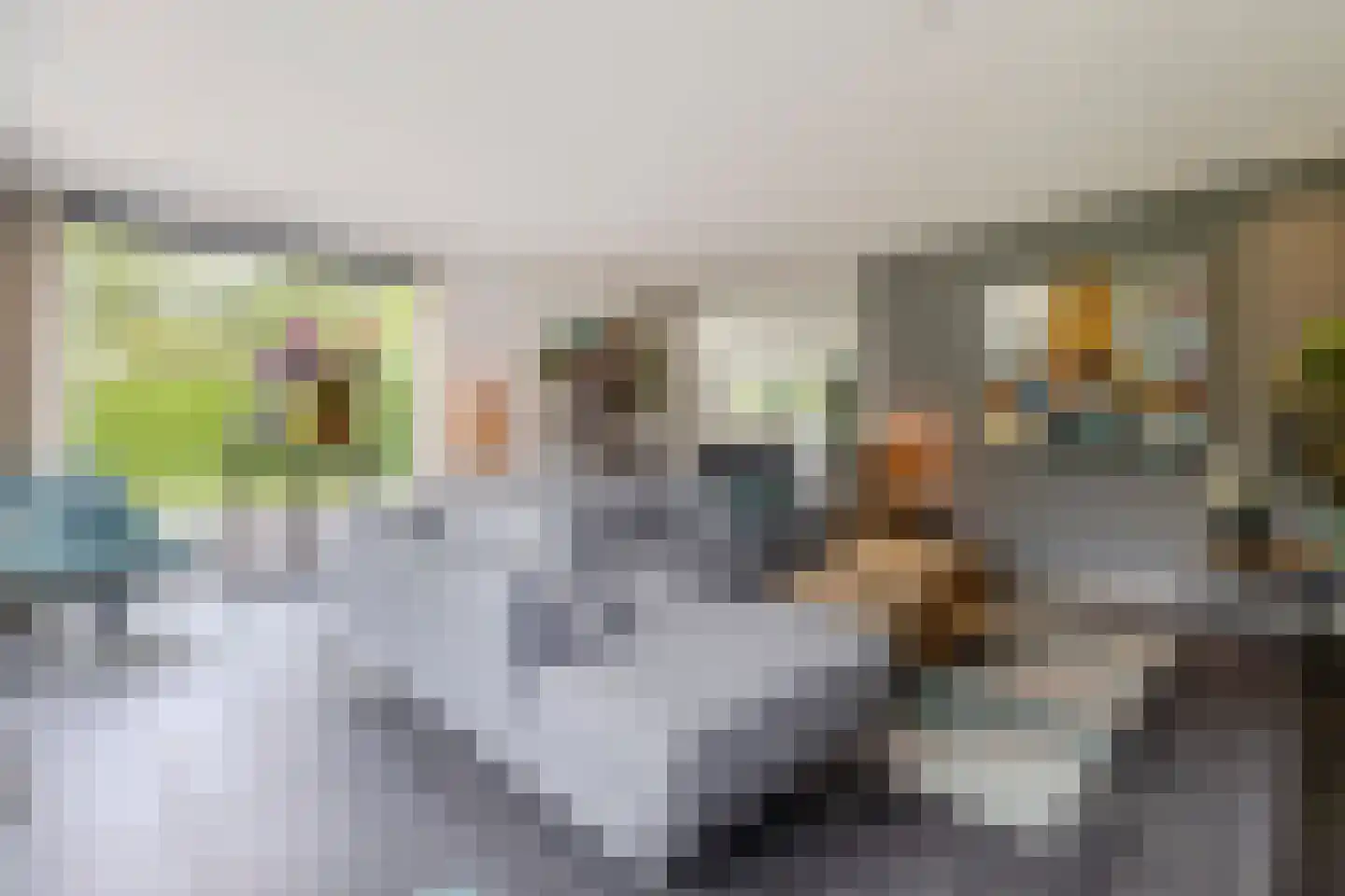 De Messemaker 7 Cuijk thumbnail 9