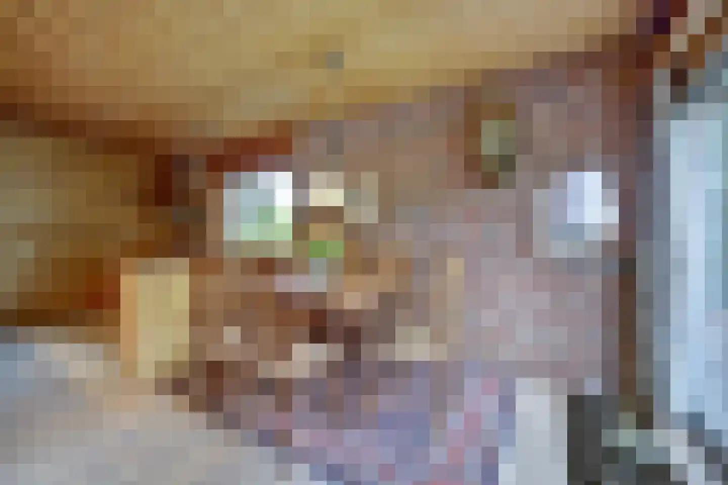 De Meteoor 10 Dronten thumbnail 11