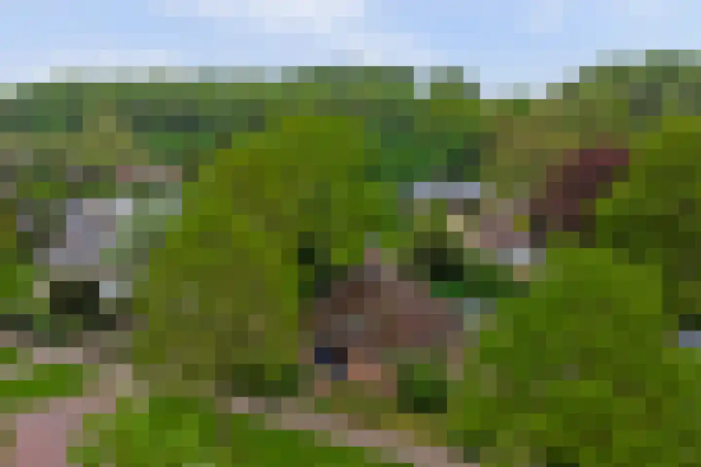 De Meteoor 10 Dronten thumbnail 44