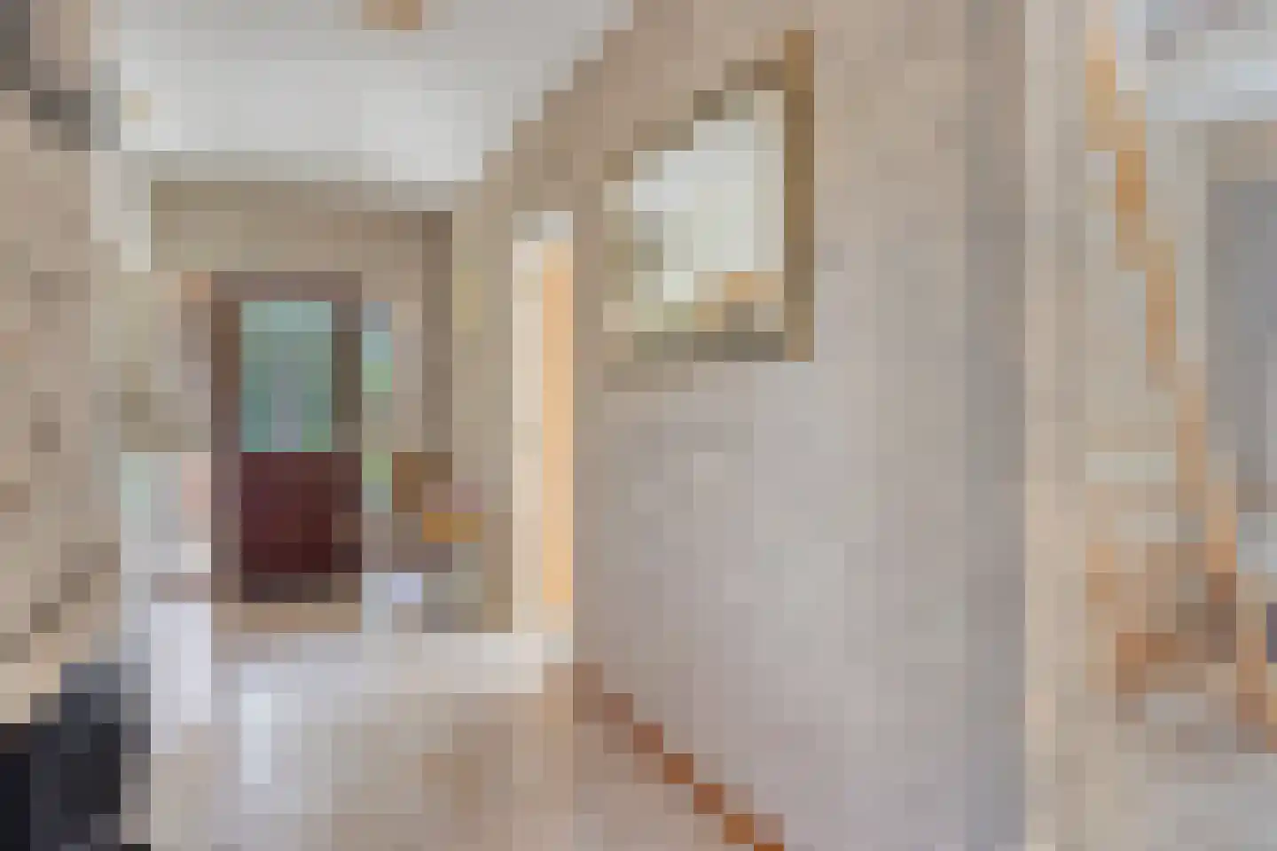 De Metten 14 Klazienaveen thumbnail 10