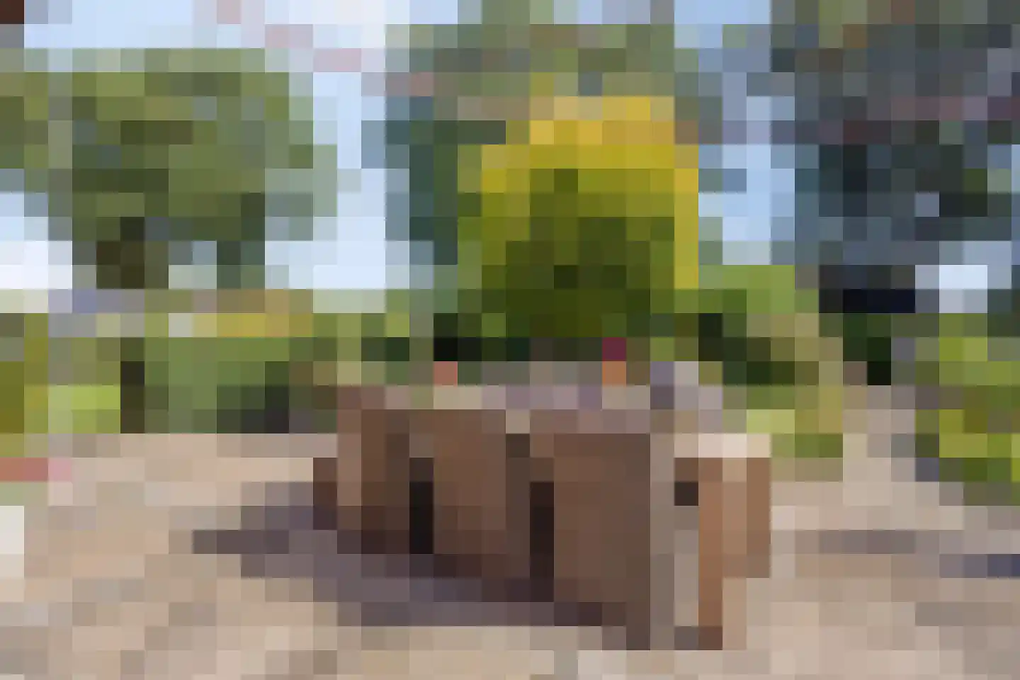 De Metten 14 Klazienaveen thumbnail 18