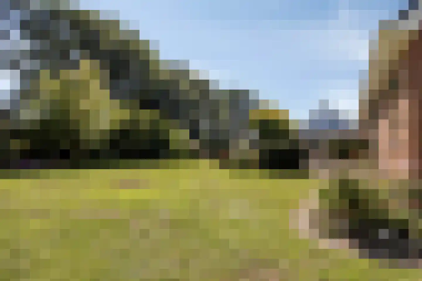 De Metten 14 Klazienaveen thumbnail 20