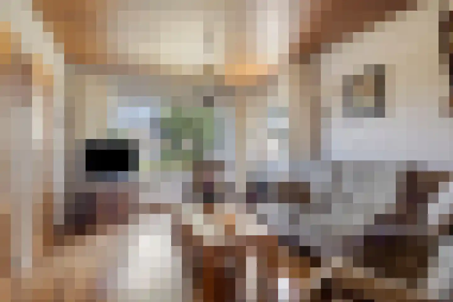 De Metten 14 Klazienaveen thumbnail 4