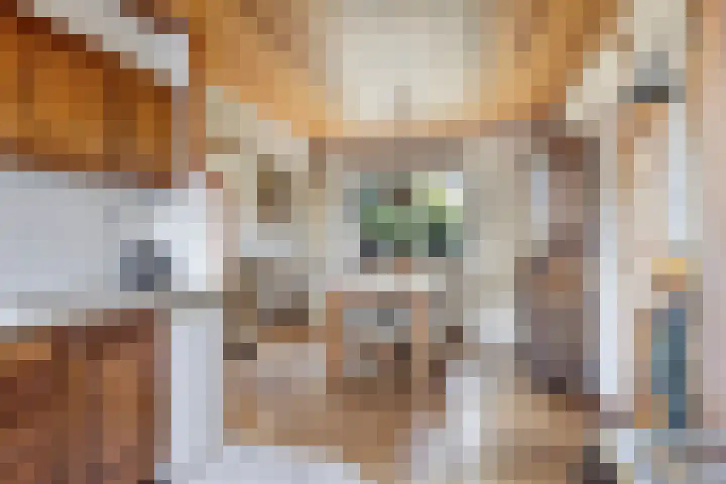 De Metten 14 Klazienaveen thumbnail 8