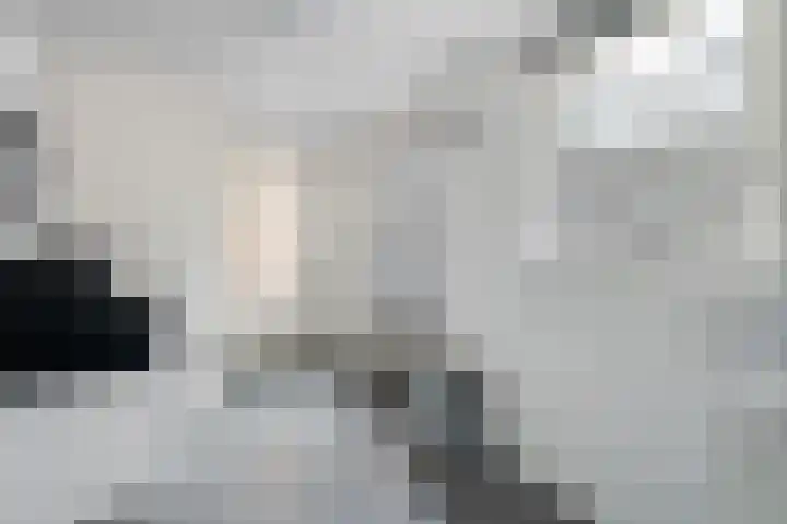 De Metten 16 Klazienaveen thumbnail 18