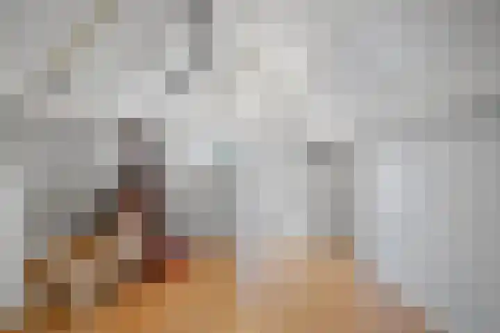 De Metten 16 Klazienaveen thumbnail 29
