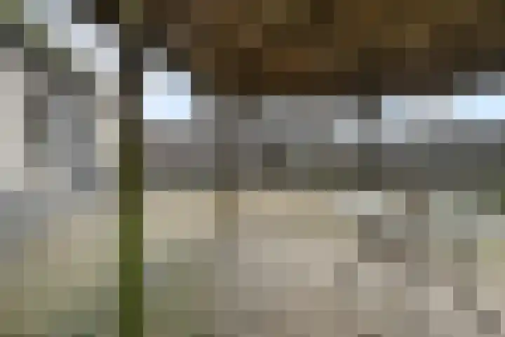 De Metten 16 Klazienaveen thumbnail 35