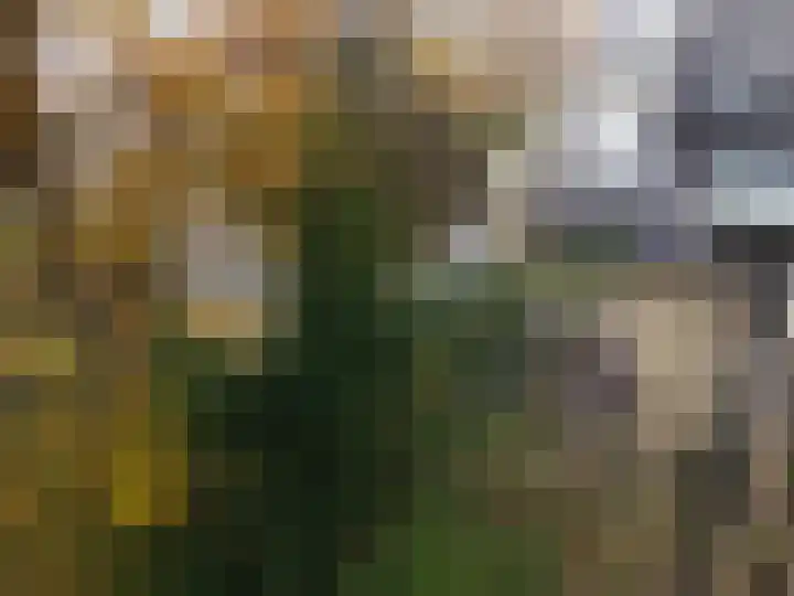 De Metten 16 Klazienaveen thumbnail 43
