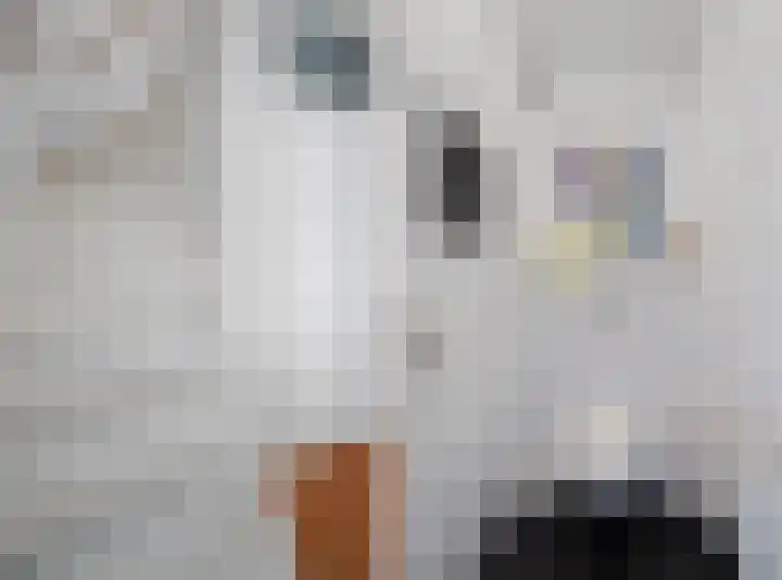 De Metten 16 Klazienaveen thumbnail 6