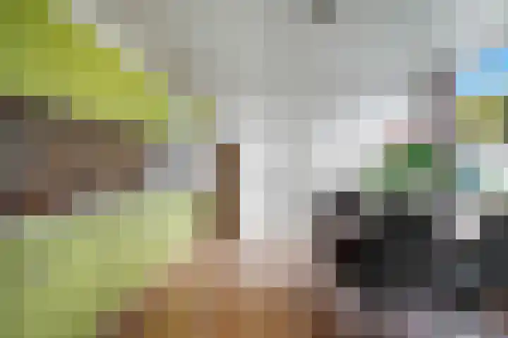 De Metten 29 Klazienaveen thumbnail 13