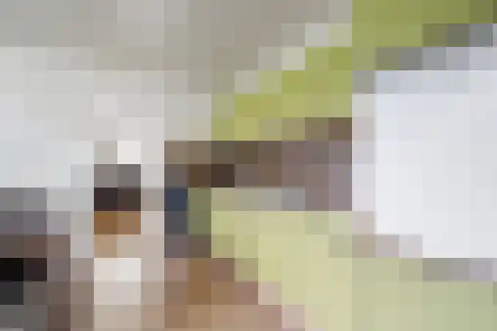 De Metten 29 Klazienaveen thumbnail 15