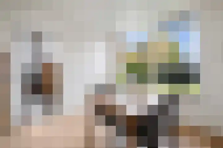 De Metten 29 Klazienaveen thumbnail 17