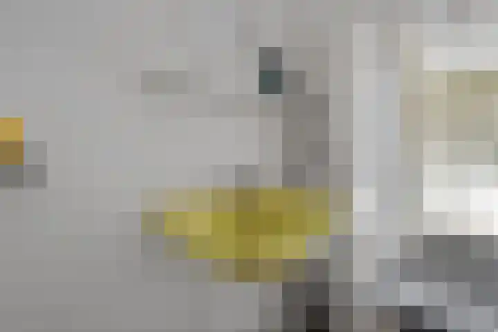 De Metten 29 Klazienaveen thumbnail 26