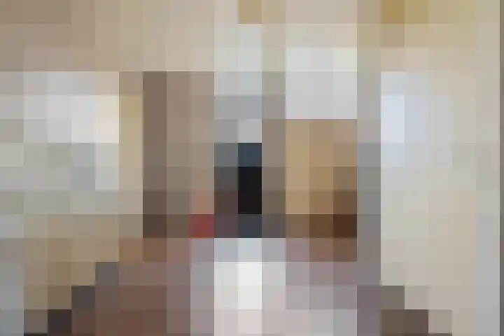 De Metten 29 Klazienaveen thumbnail 27