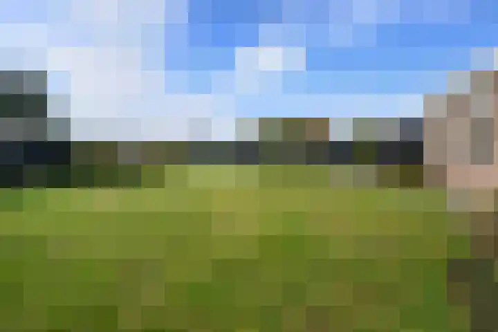 De Metten 29 Klazienaveen foto 3