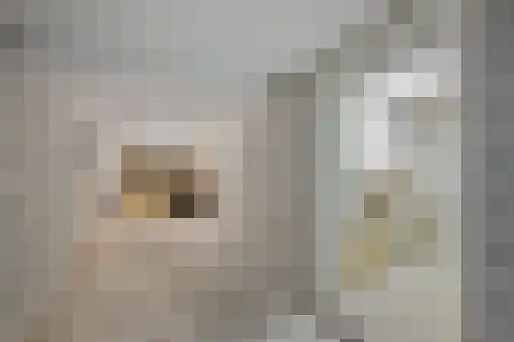 De Metten 29 Klazienaveen thumbnail 33