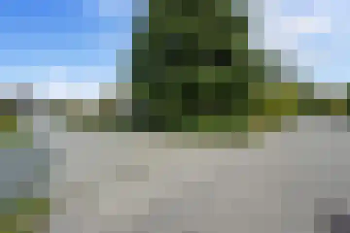 De Metten 29 Klazienaveen thumbnail 34