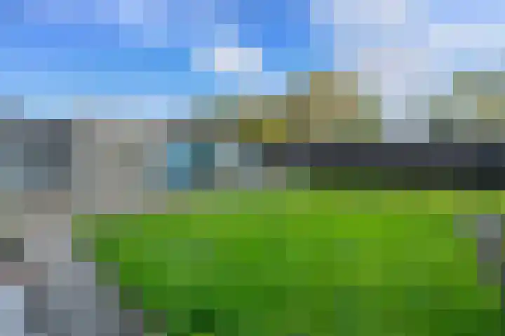 De Metten 29 Klazienaveen thumbnail 41