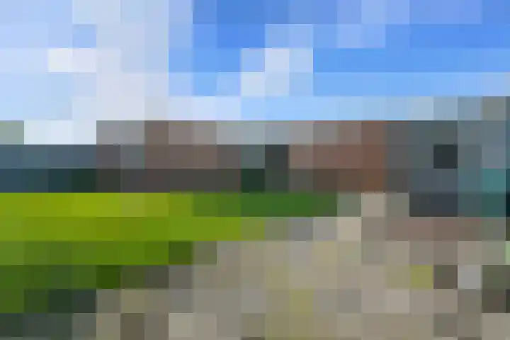 De Metten 29 Klazienaveen thumbnail 42