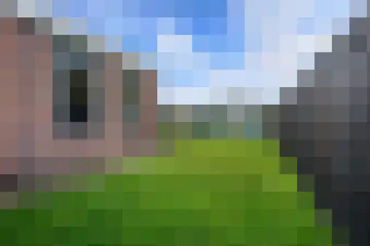 De Metten 29 Klazienaveen thumbnail 43