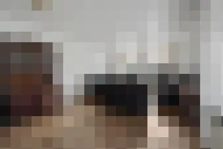 De Metten 29 Klazienaveen thumbnail 7