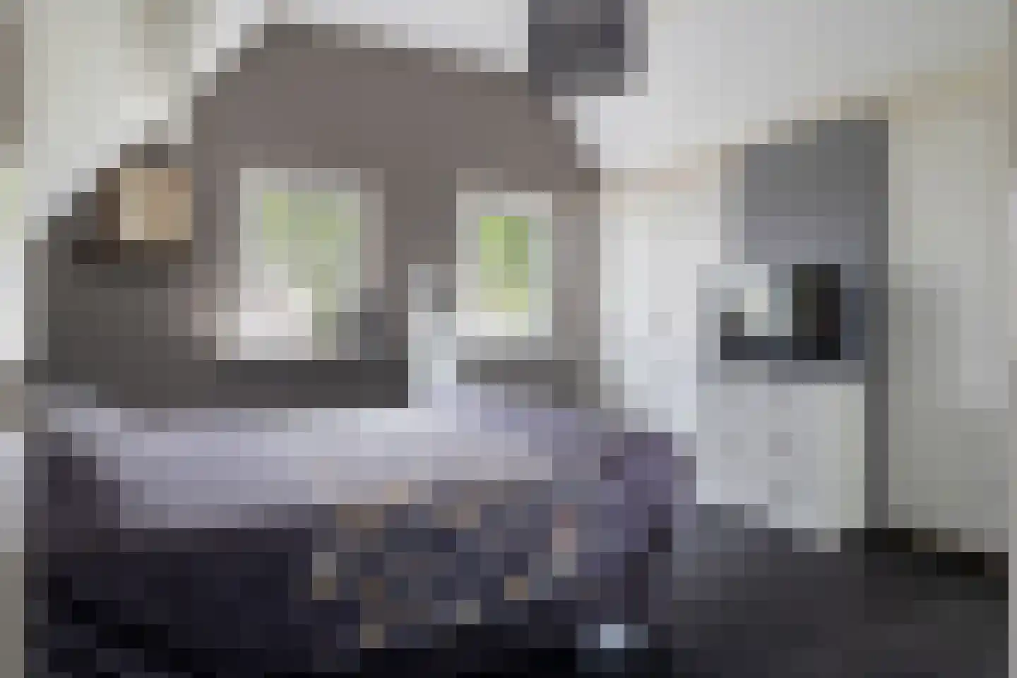 De Metten 7 Klazienaveen thumbnail 30