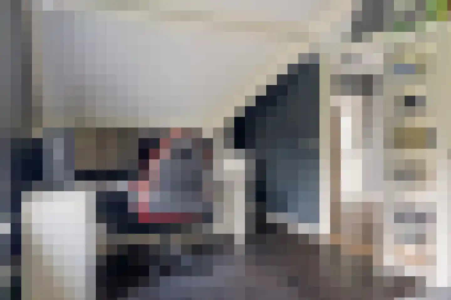 De Metten 7 Klazienaveen thumbnail 38
