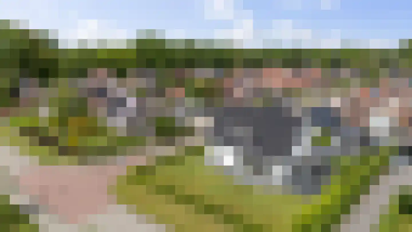 De Metten 7 Klazienaveen thumbnail 55