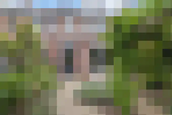 de Meule 42 Valkenswaard thumbnail 31