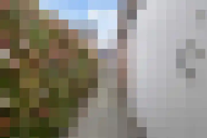 de Meule 42 Valkenswaard thumbnail 33