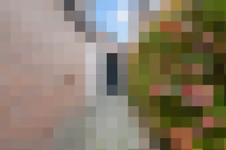 de Meule 42 Valkenswaard thumbnail 34