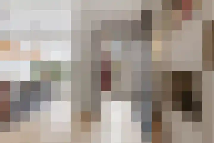 de Meule 42 Valkenswaard thumbnail 4